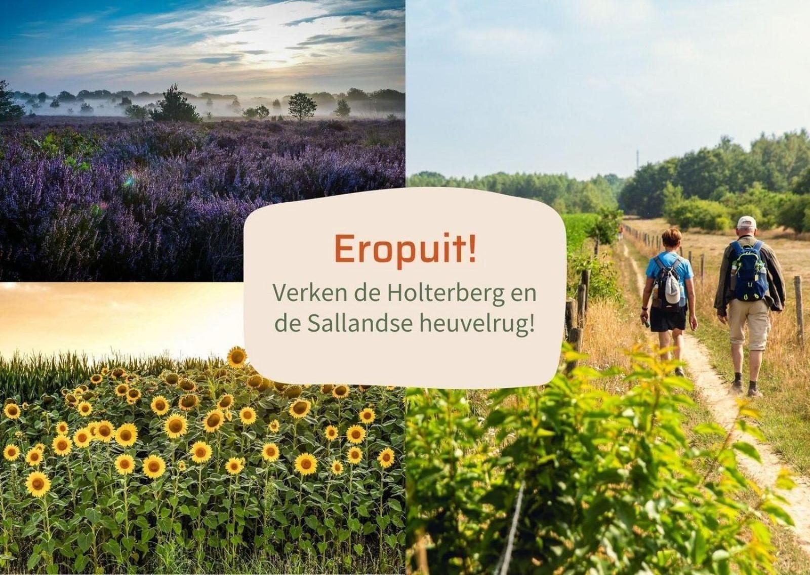 Vakantiepark Hoelte Rijssen Εξωτερικό φωτογραφία